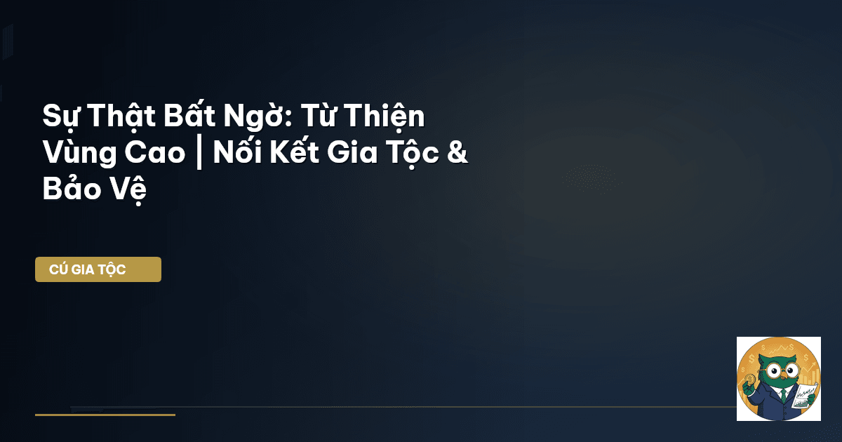 từ thiện gia tộc