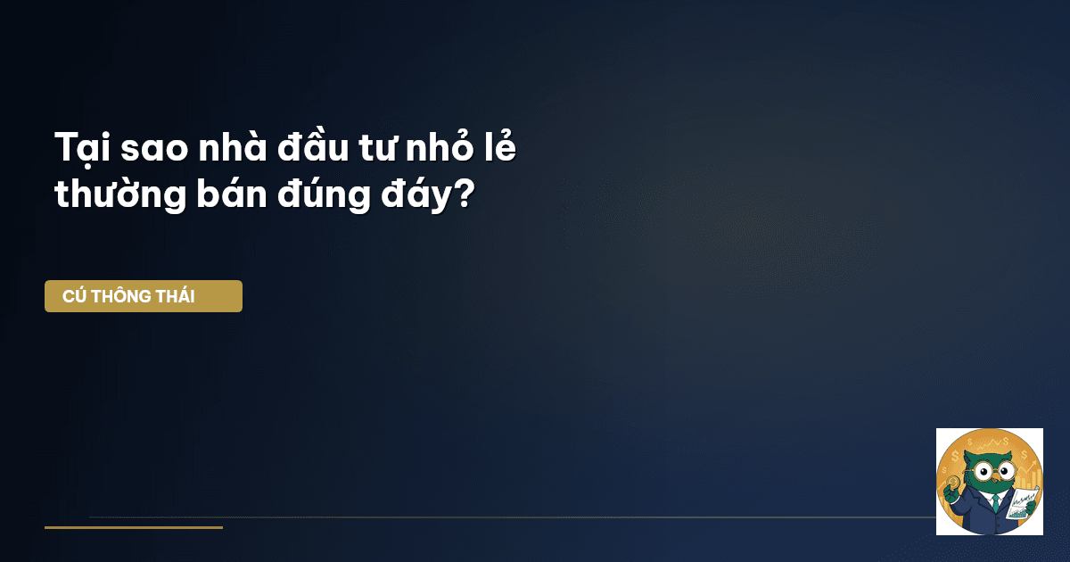 đầu tư chứng khoán