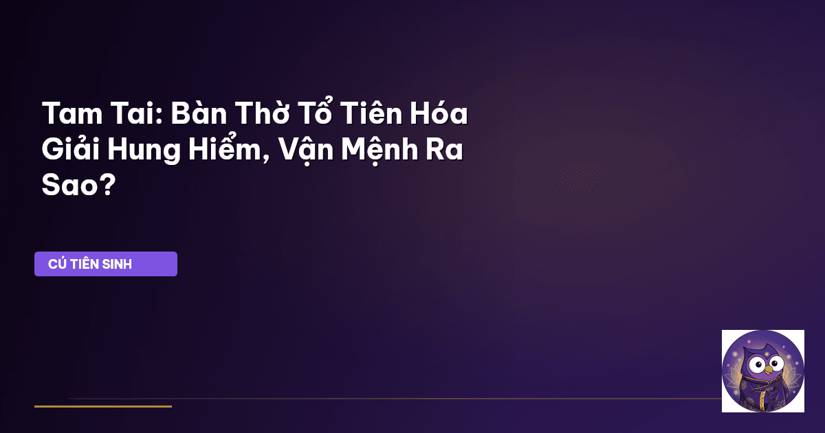 Tam Tai
