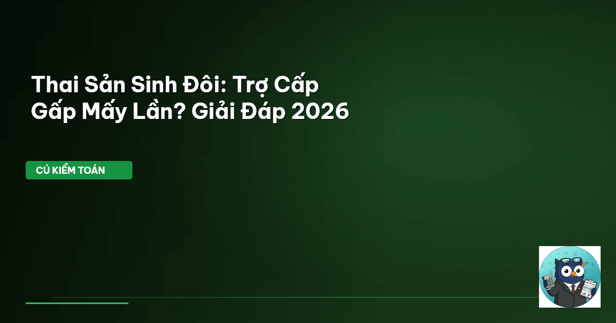 trợ cấp thai sản sinh đôi