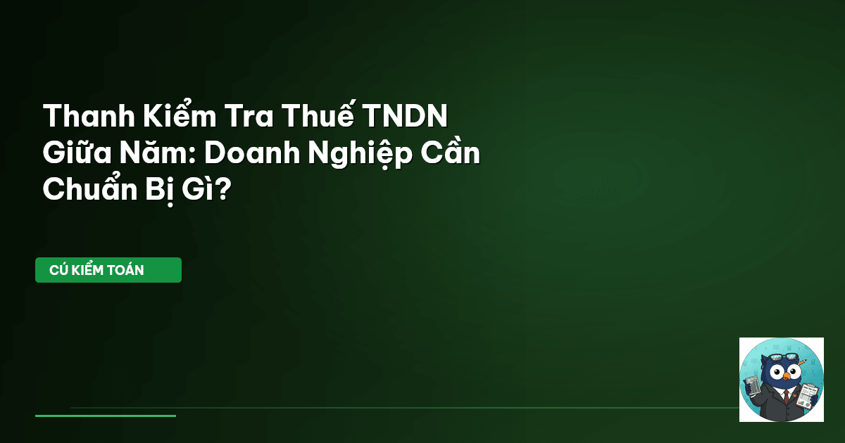 thanh kiểm tra thuế TNDN