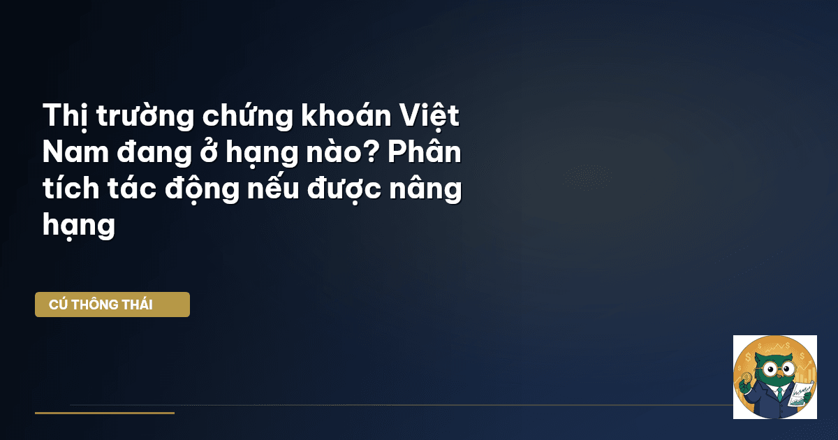 Thị trường chứng khoán Việt Nam đang ở hạng nào? Phân tích tác động nếu được nâng hạng