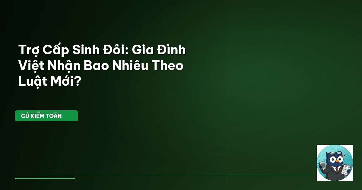 trợ cấp sinh đôi