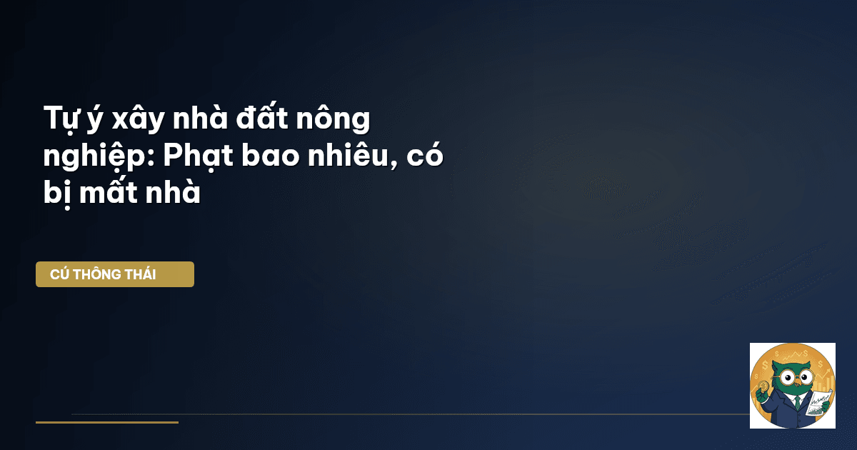 Tự ý xây nhà đất nông nghiệp: Phạt bao nhiêu, có bị mất nhà