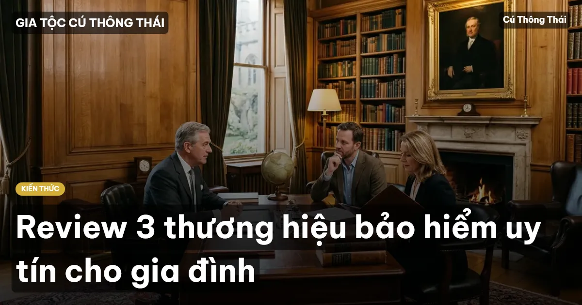 Review 3 thương hiệu bảo hiểm uy tín cho gia đình