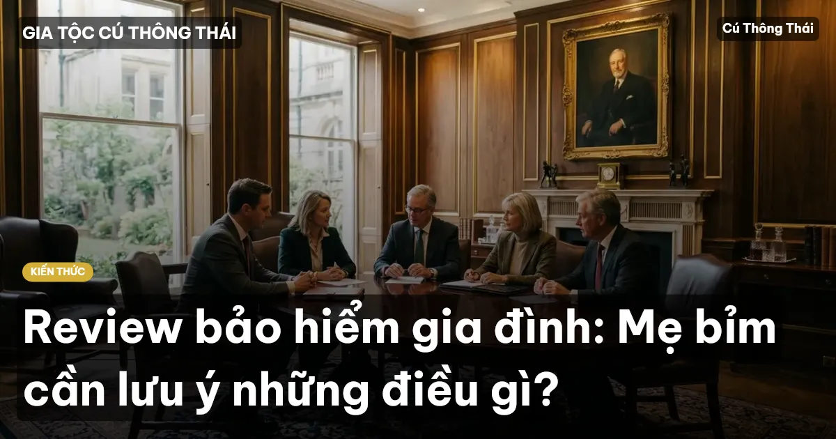 Review bảo hiểm gia đình: Mẹ bỉm cần lưu ý những điều gì?