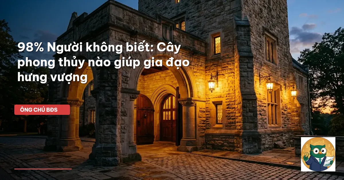 cây phong thủy