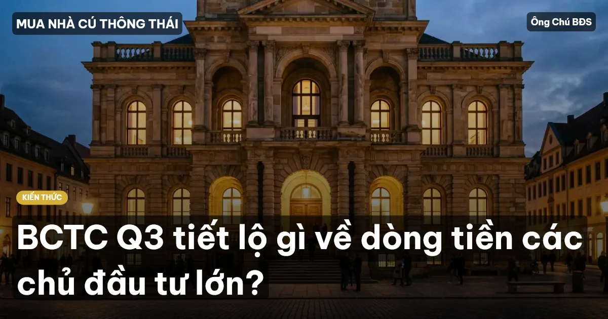 BCTC Q3 tiết lộ gì về dòng tiền các chủ đầu tư lớn?