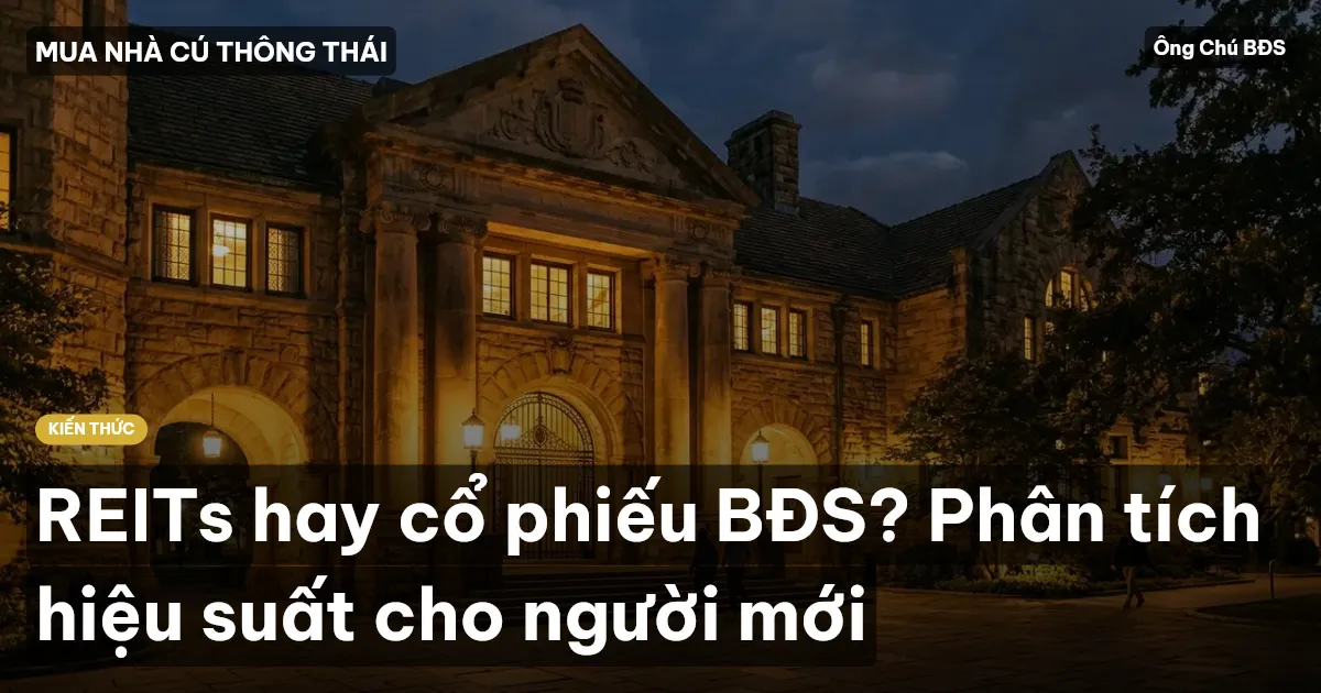 REITs hay cổ phiếu BĐS? Phân tích hiệu suất cho người mới