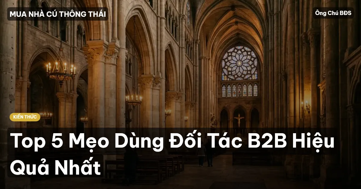 Top 5 Mẹo Dùng Đối Tác B2B Hiệu Quả Nhất