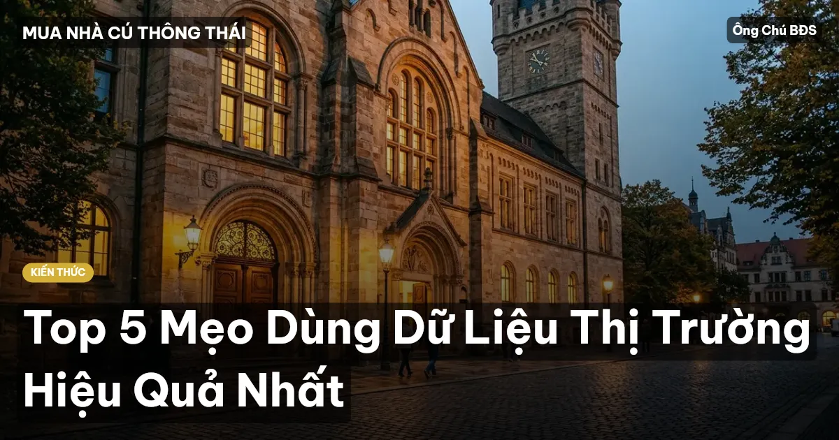 Top 5 Mẹo Dùng Dữ Liệu Thị Trường Hiệu Quả Nhất