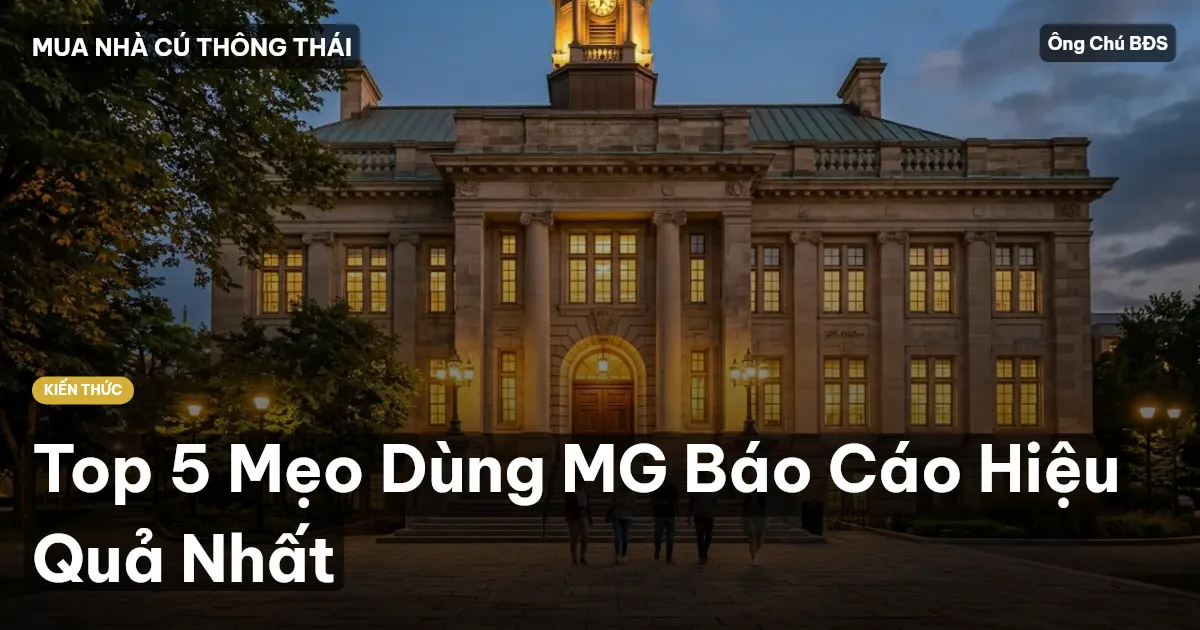 Top 5 Mẹo Dùng MG Báo Cáo Hiệu Quả Nhất