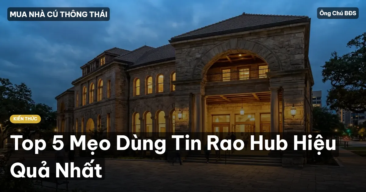 Top 5 Mẹo Dùng Tin Rao Hub Hiệu Quả Nhất