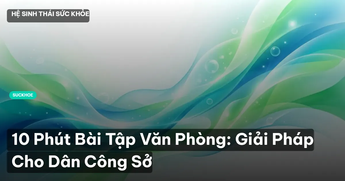 bài tập văn phòng