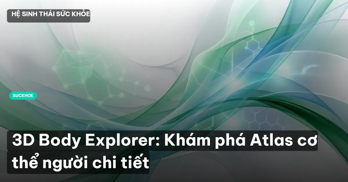 3D Body Explorer: Khám phá Atlas cơ thể người chi tiết