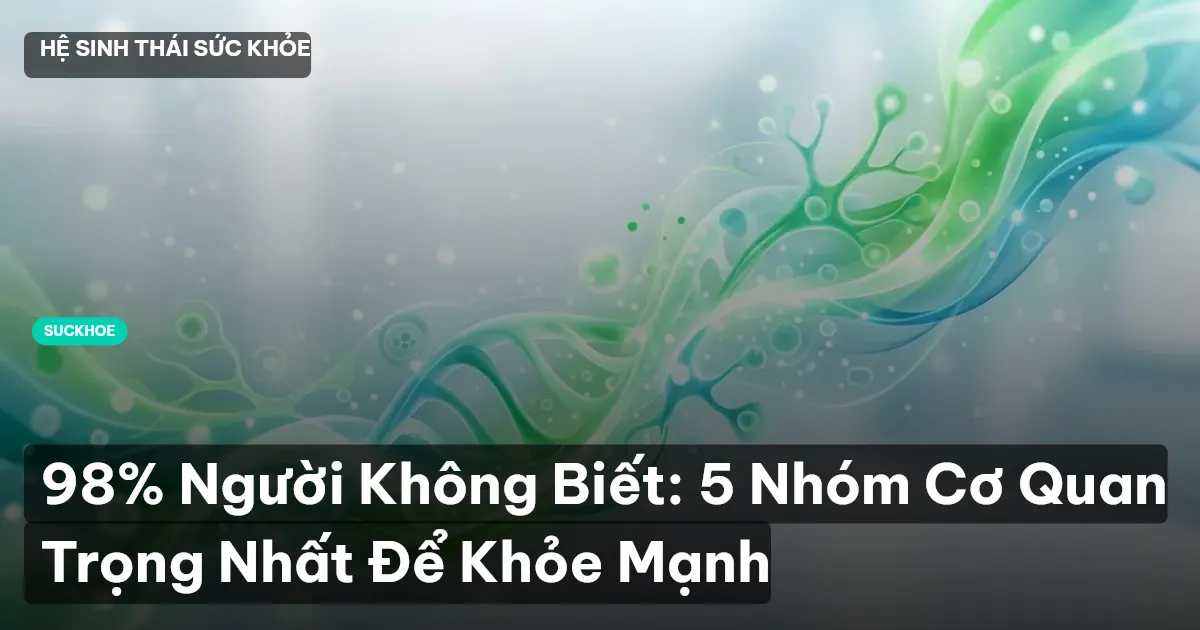 98% Người Không Biết: 5 Nhóm Cơ Quan Trọng Nhất Để Khỏe Mạnh