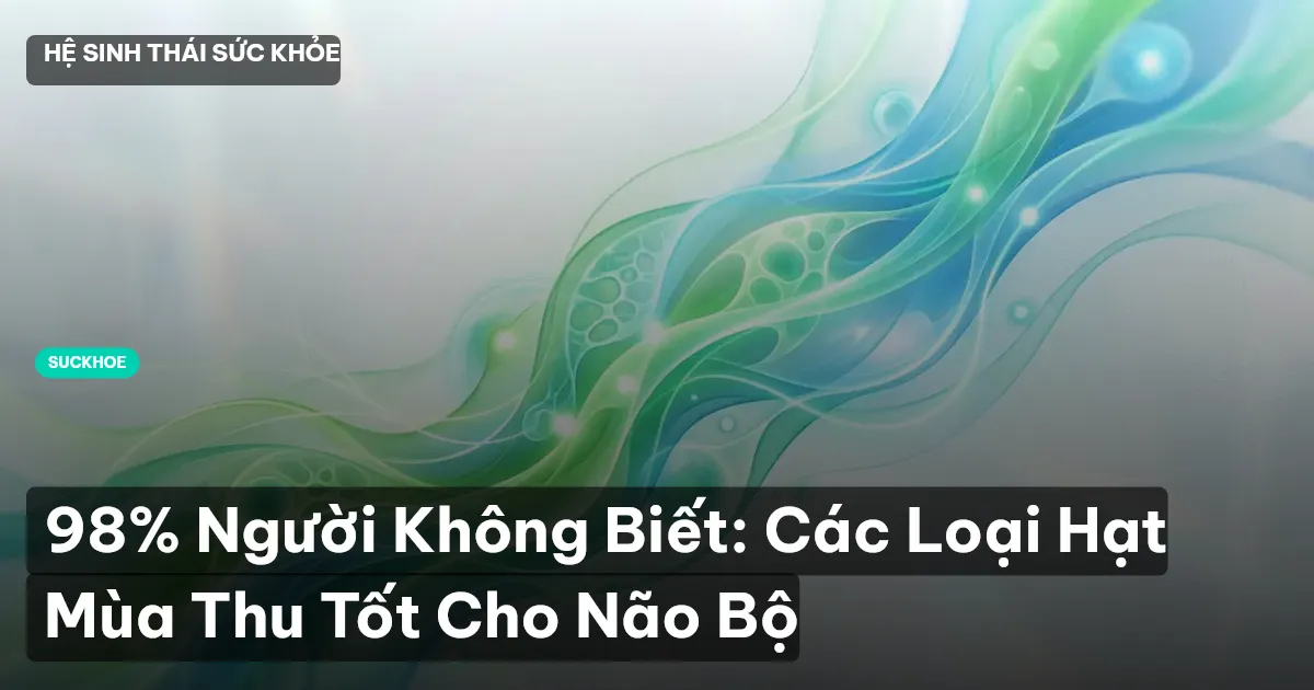 98% Người Không Biết: Các Loại Hạt Mùa Thu Tốt Cho Não Bộ