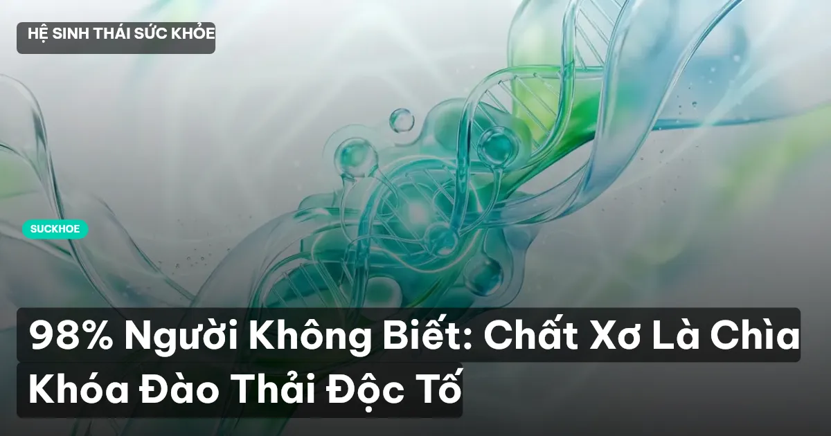 chất xơ