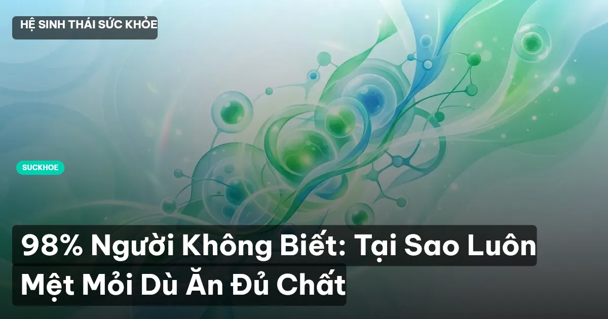 98% Người Không Biết: Tại Sao Luôn Mệt Mỏi Dù Ăn Đủ Chất