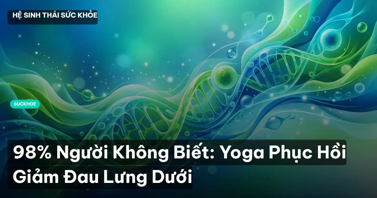 98% Người Không Biết: Yoga Phục Hồi Giảm Đau Lưng Dưới