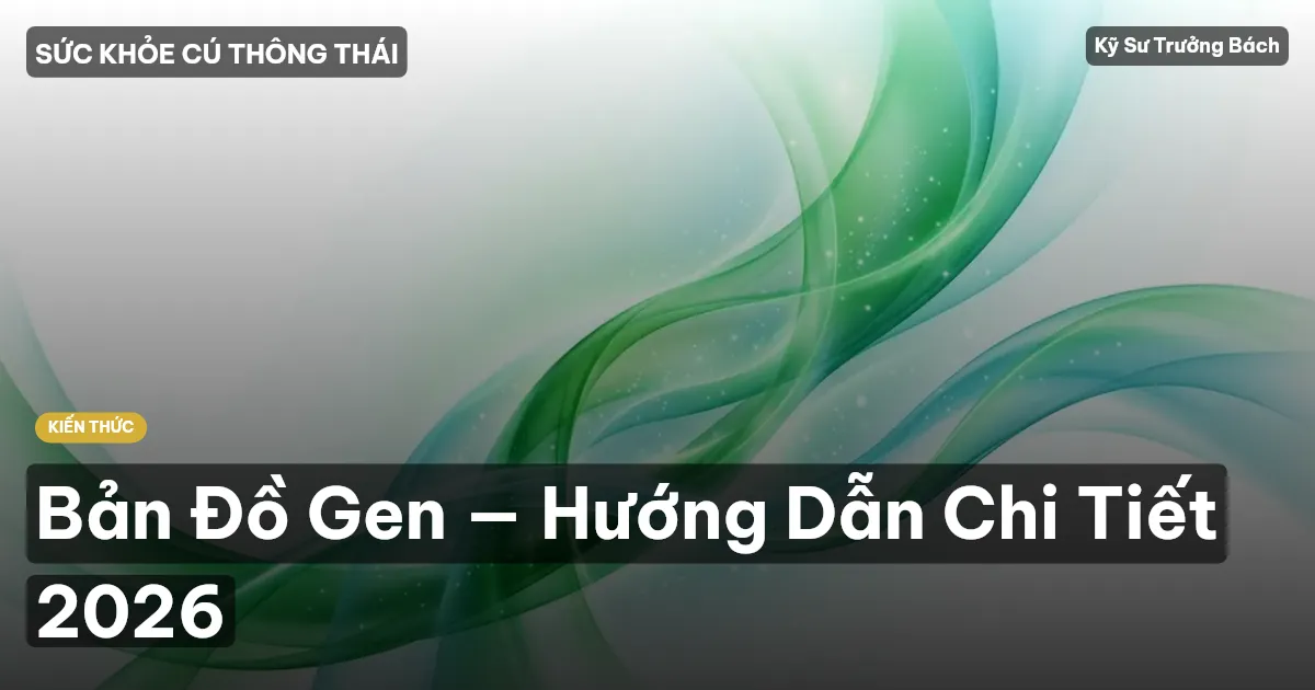 Bản Đồ Gen — Hướng Dẫn Chi Tiết 2026