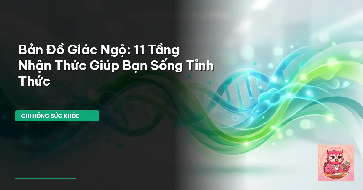 bản đồ giác ngộ