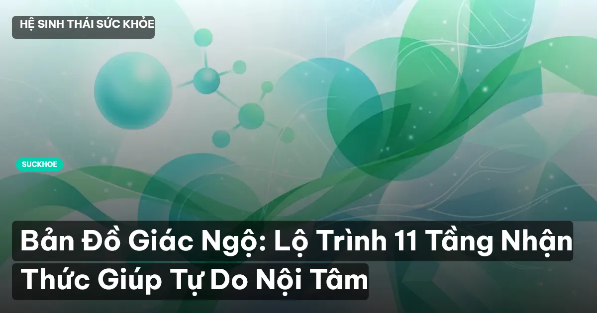 Bản Đồ Giác Ngộ: Lộ Trình 11 Tầng Nhận Thức Giúp Tự Do Nội Tâm