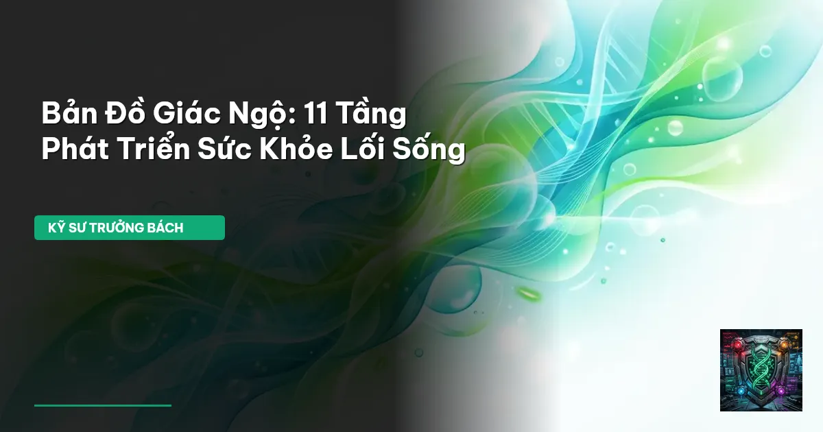 bản đồ giác ngộ