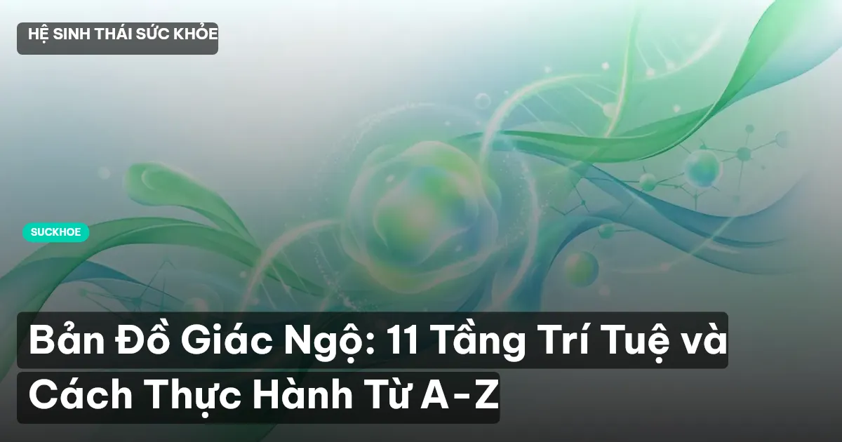 Bản Đồ Giác Ngộ: 11 Tầng Trí Tuệ và Cách Thực Hành Từ A-Z