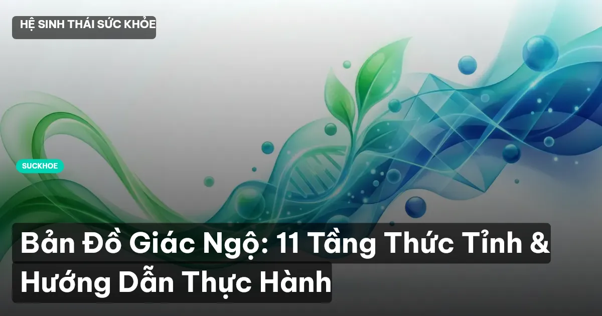 Bản Đồ Giác Ngộ