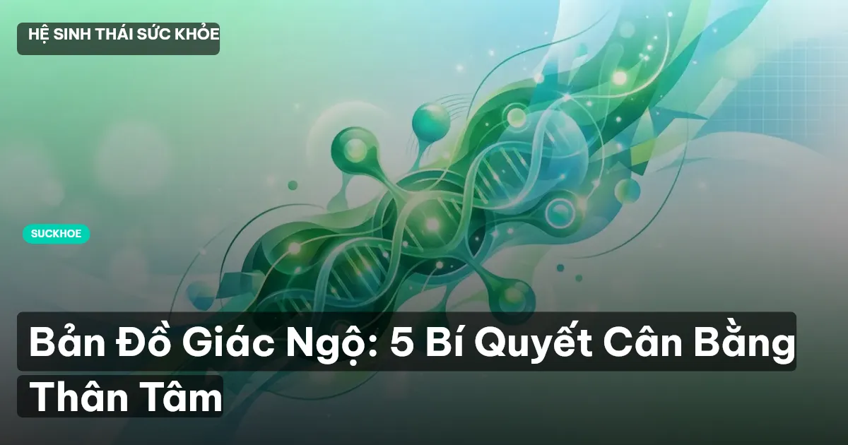 bản đồ giác ngộ