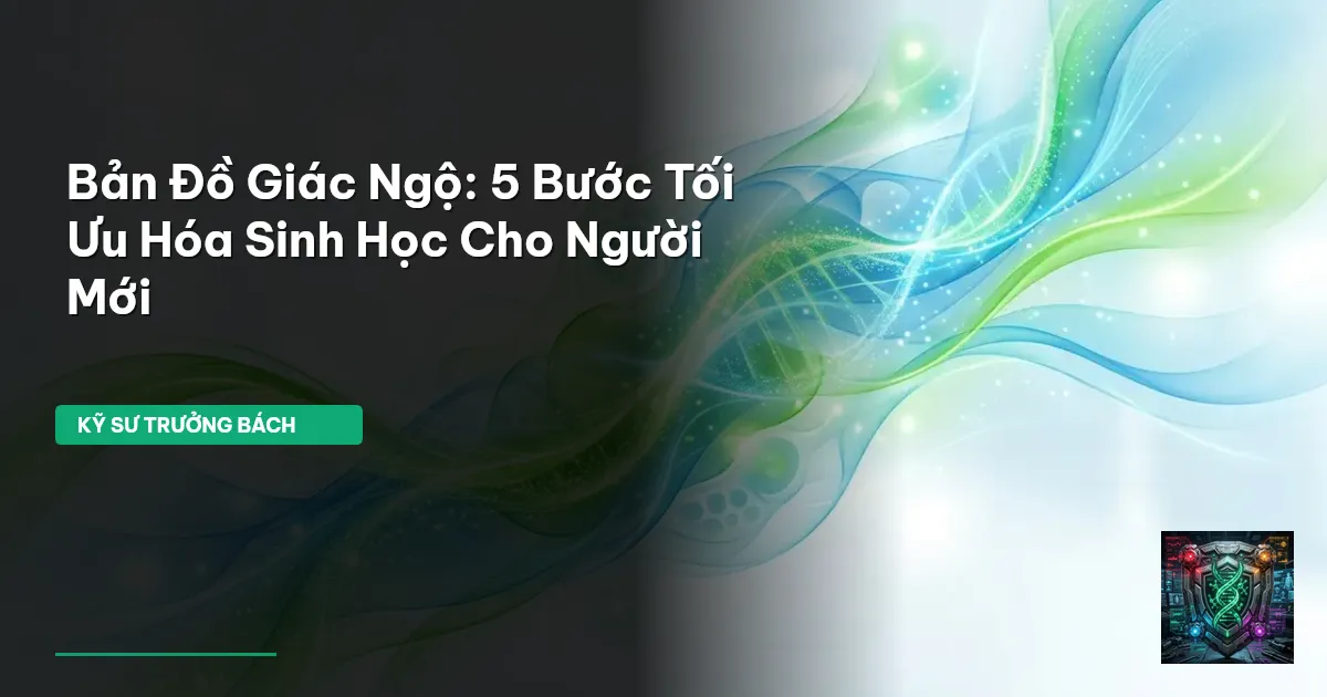 bản đồ giác ngộ