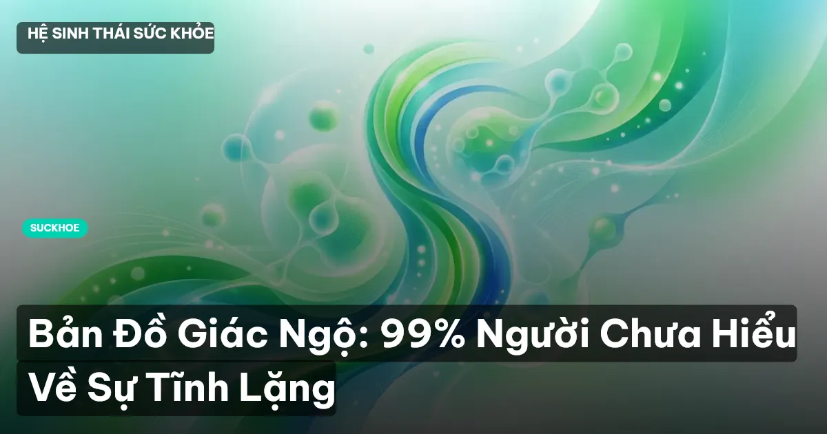 Bản Đồ Giác Ngộ: 99% Người Chưa Hiểu Về Sự Tĩnh Lặng