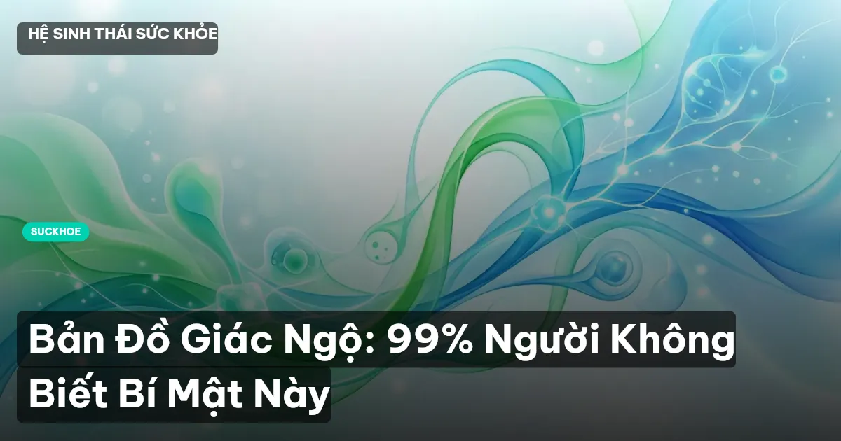 bản đồ giác ngộ