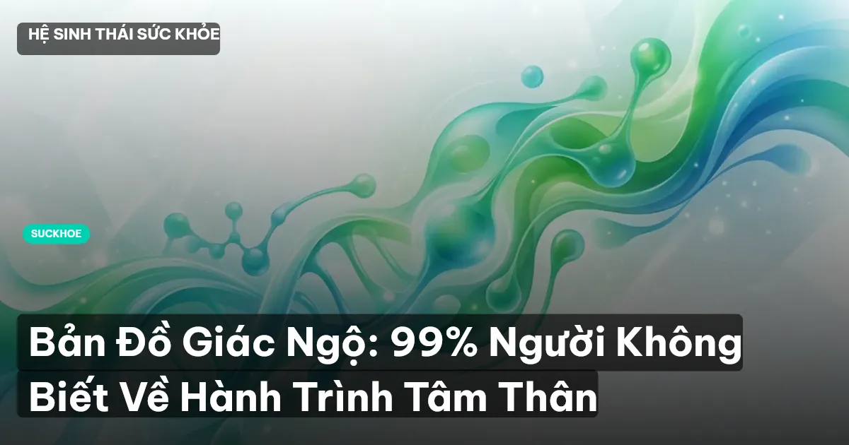 Bản Đồ Giác Ngộ: 99% Người Không Biết Về Hành Trình Tâm Thân