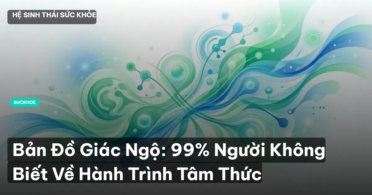 Bản Đồ Giác Ngộ: 99% Người Không Biết Về Hành Trình Tâm Thức
