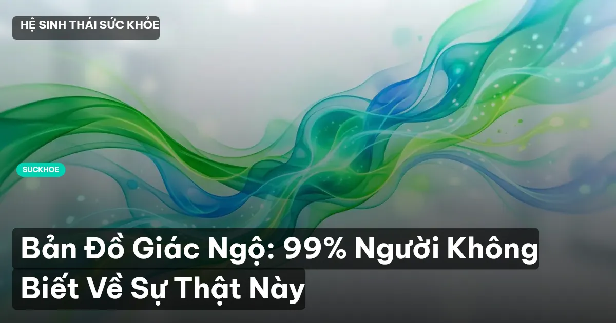 Bản Đồ Giác Ngộ: 99% Người Không Biết Về Sự Thật Này