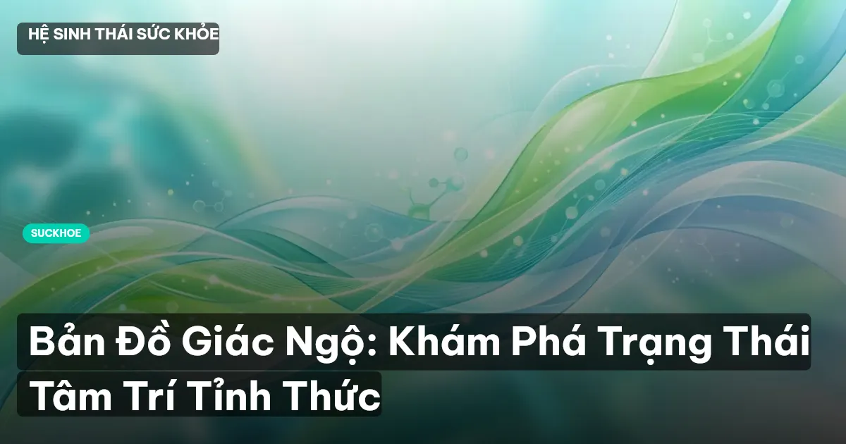 bản đồ giác ngộ