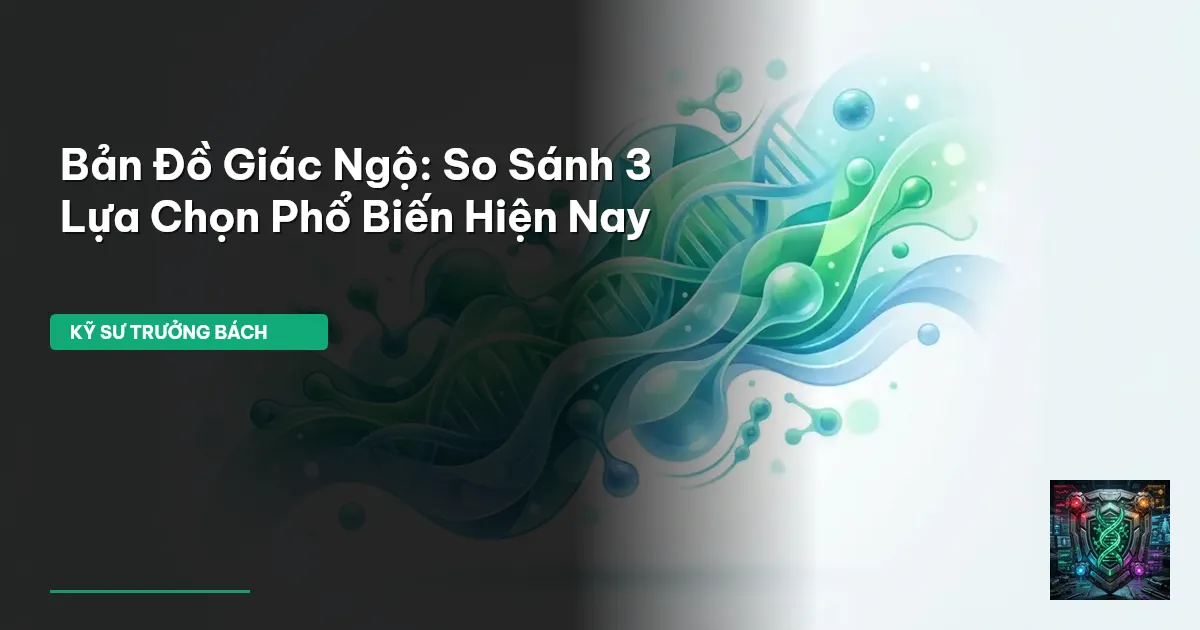 bản đồ giác ngộ