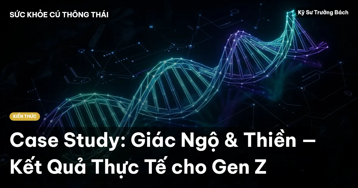 Case Study: Giác Ngộ & Thiền — Kết Quả Thực Tế cho Gen Z