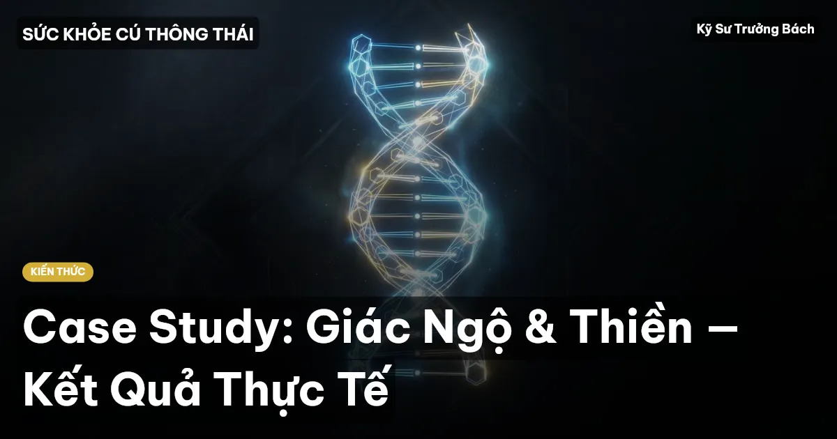 Case Study: Giác Ngộ & Thiền — Kết Quả Thực Tế