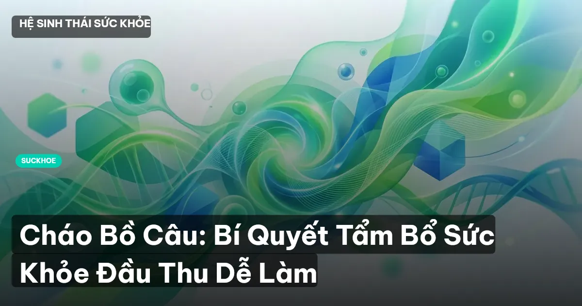 cháo bồ câu