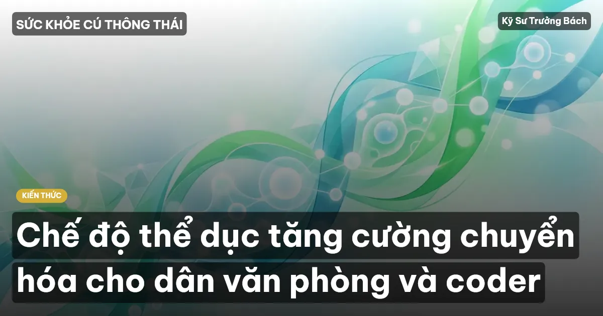 Chế độ thể dục tăng cường chuyển hóa cho dân văn phòng và coder
