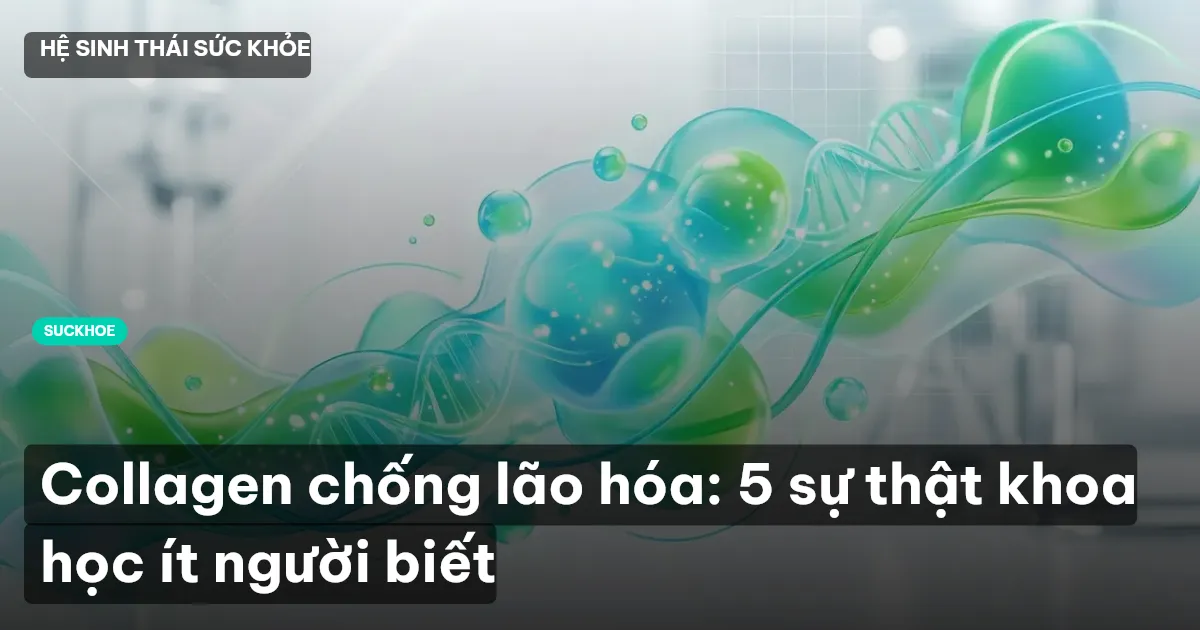 collagen chống lão hóa