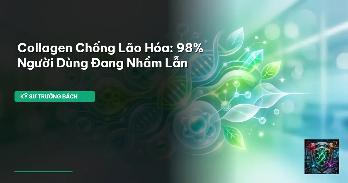 collagen chống lão hóa