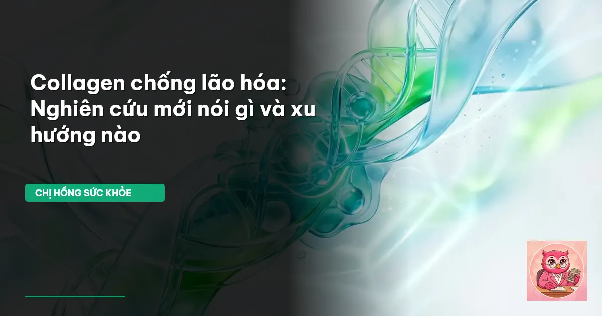 collagen chống lão hóa