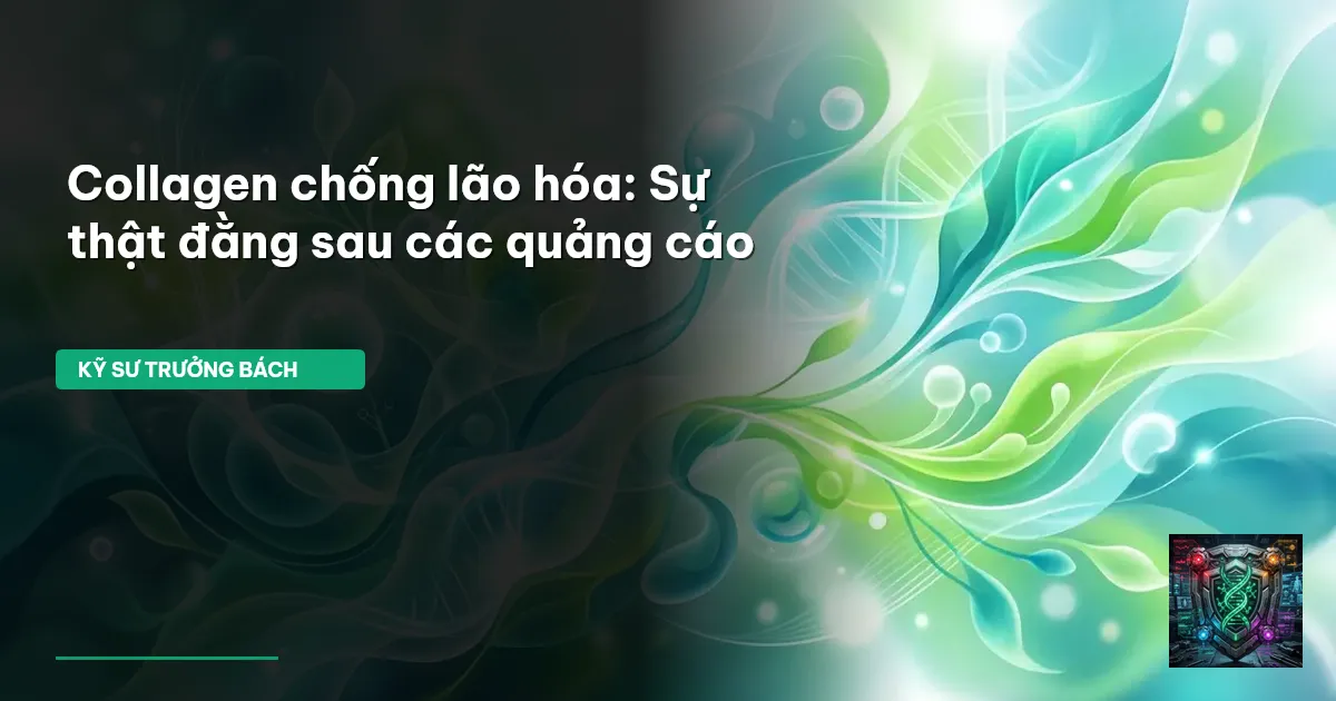 collagen chống lão hóa
