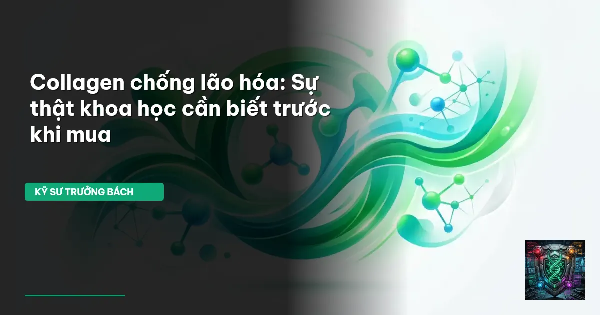 collagen chống lão hóa