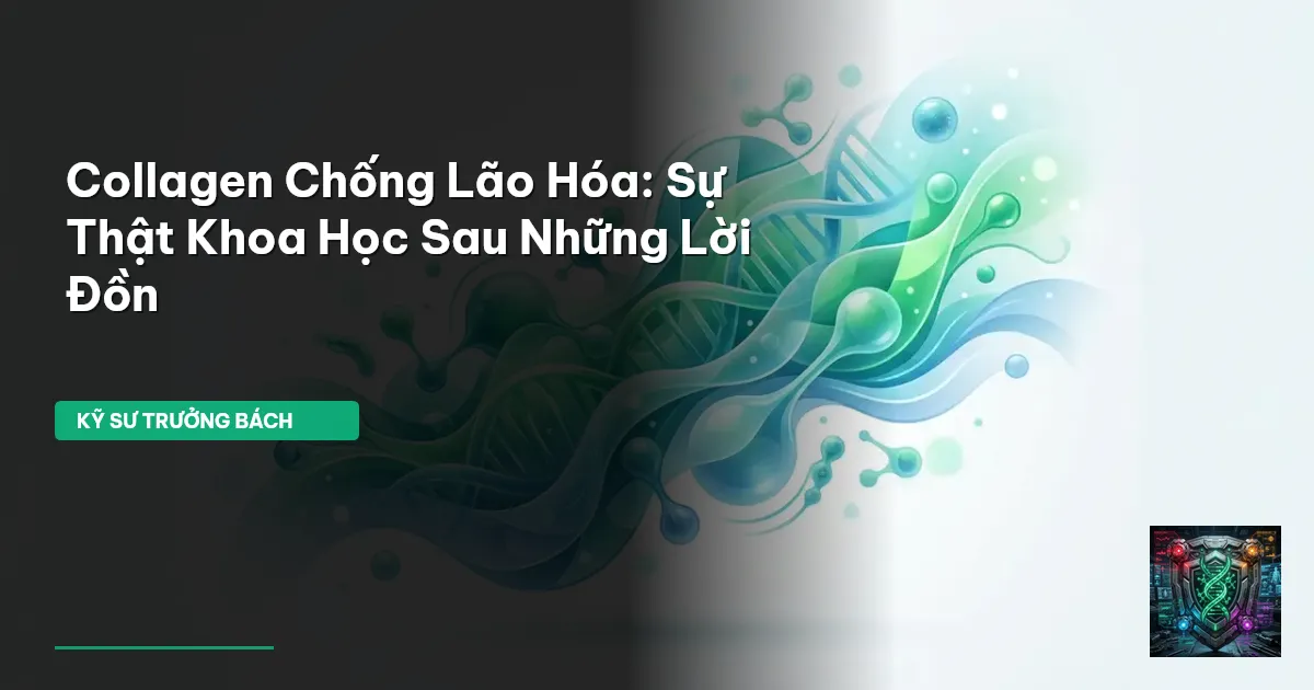 collagen chống lão hóa
