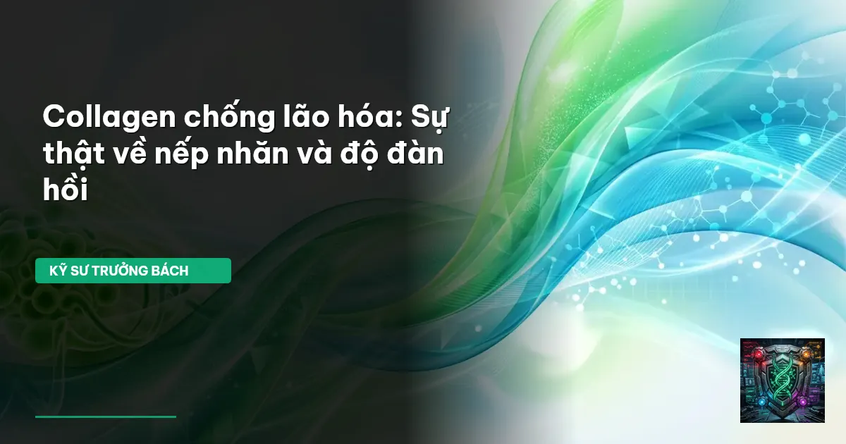 collagen chống lão hóa